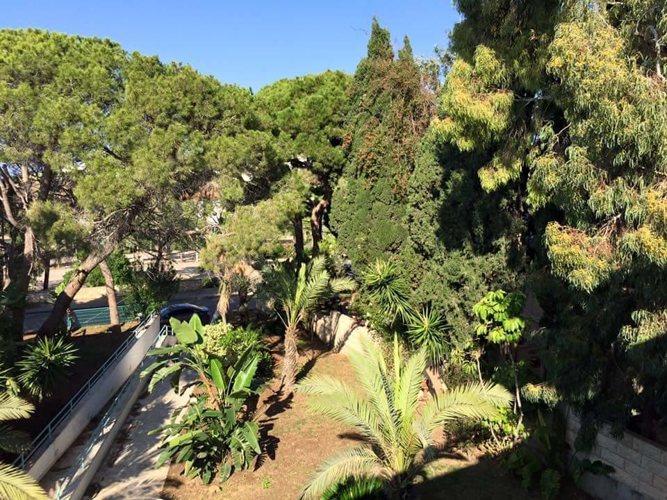 Carmel Mountain Motel Haifa Eksteriør billede